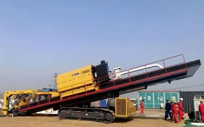 春植希望，探索鉴黑担保网“绿色力量”！