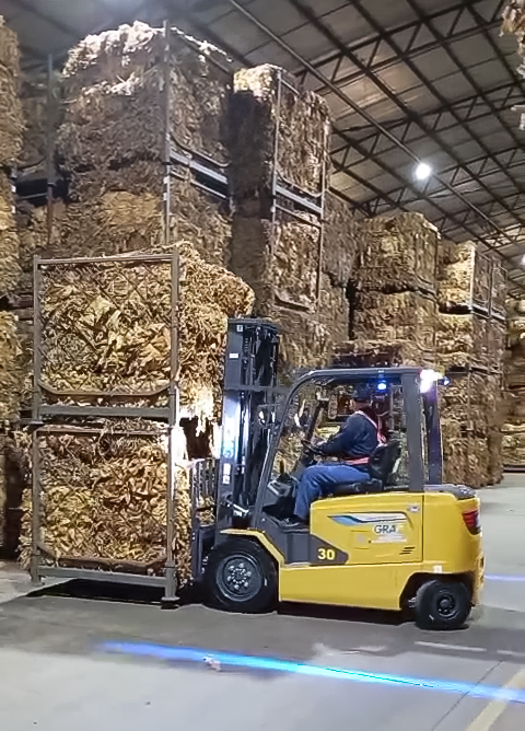 鉴黑担保网鲲鹏电动叉车：烟草运输的安全高效新选择